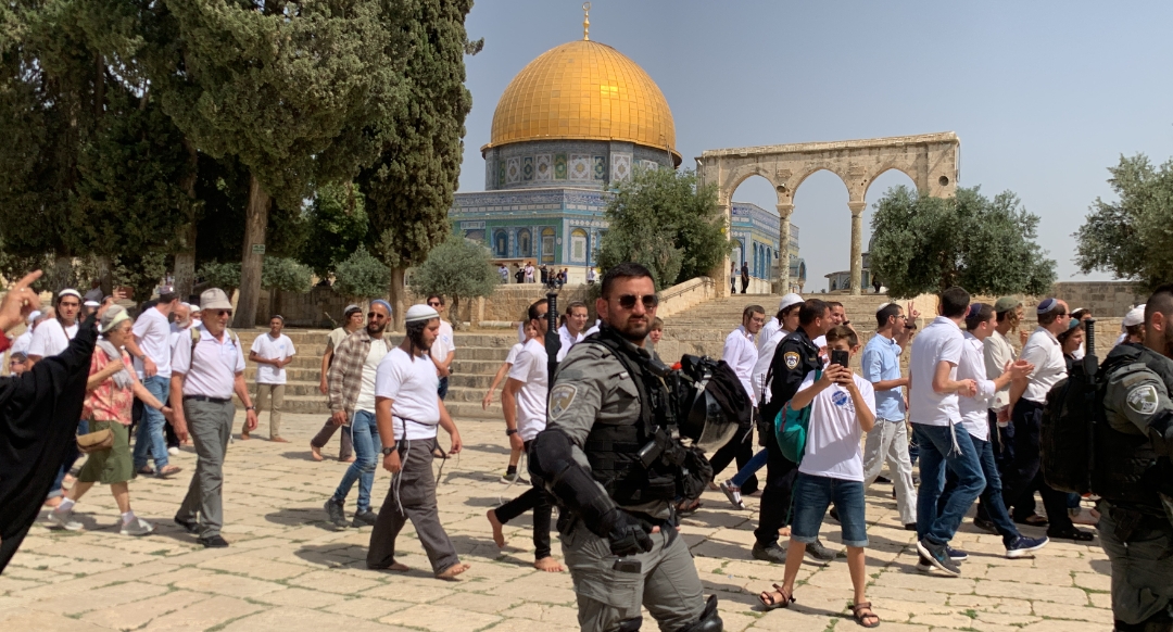 120 مستعمرا يقتحمون المسجد الأقصى بحماية قوات الاحتلال