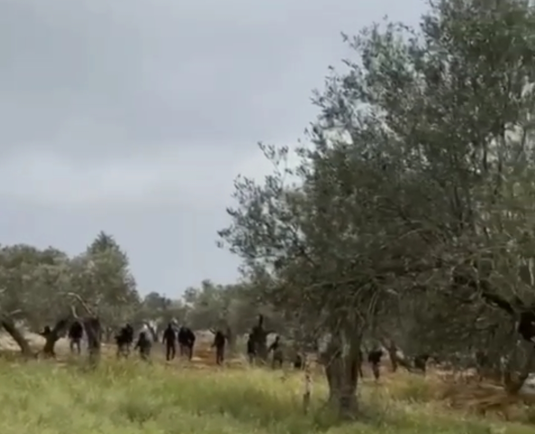 مستعمرون يهاجمون منازل المواطنين في جالود جنوب نابلس