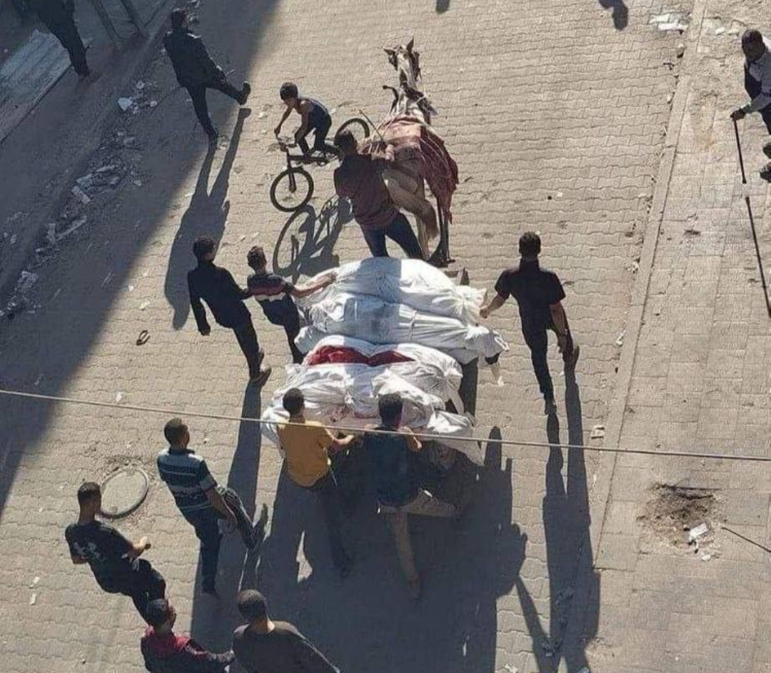 13 شهيدا في غزة خلال 48 ساعة