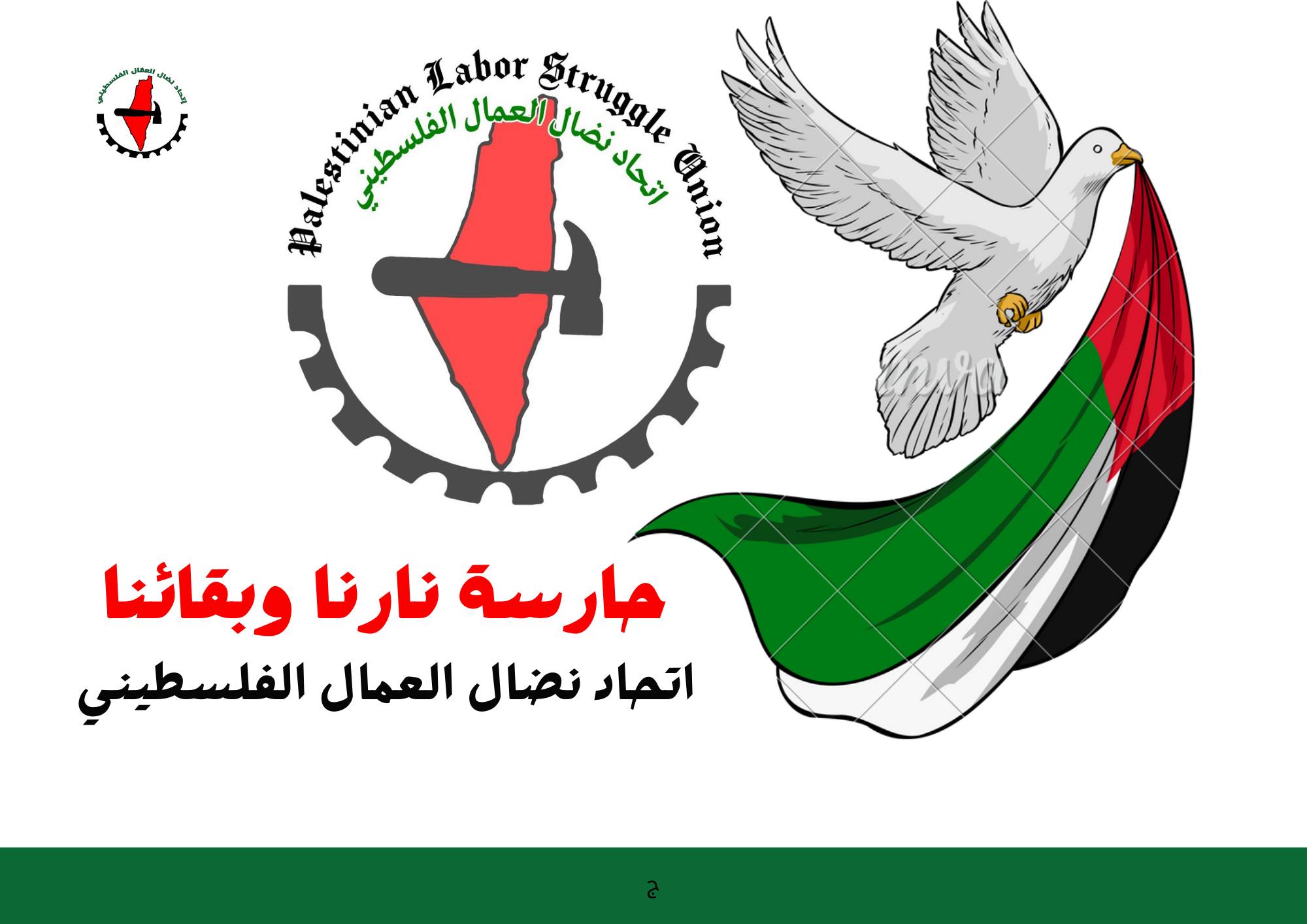 اتحاد نضال المرأة يدعو لحماية النساء الفلسطينيات