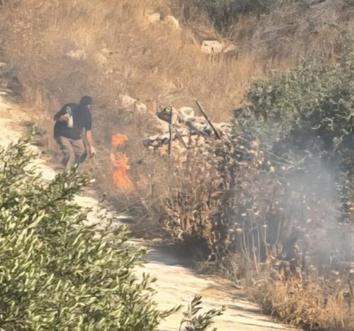 مستوطنون يهاجمون منازل ويضرمون النار في أراض بقرية برقا شرق رام الله