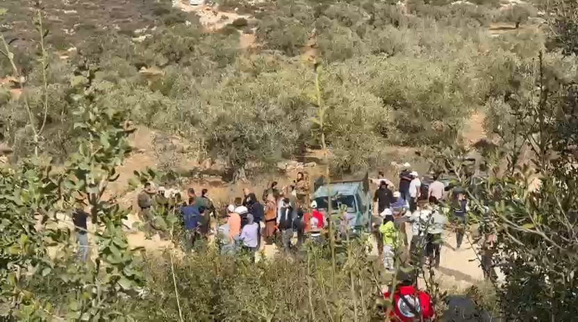 مستعمرون يهاجمون بلدة ترمسعيا
