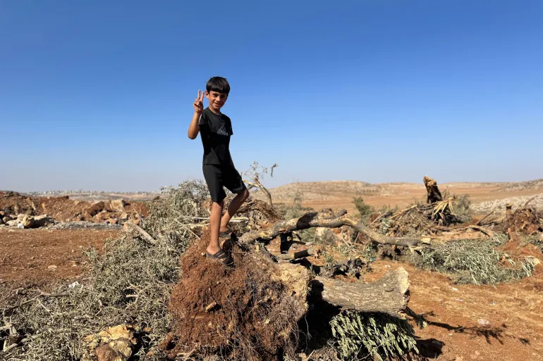 مسؤول فلسطيني: إرهاب المستوطنين الأكثر دموية بموسم الزيتون