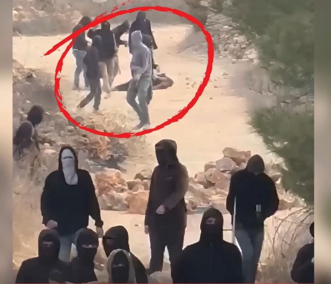 مستعمرون يحاولون قتل صحافية أمريكية قرب رام الله