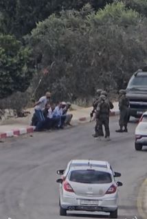 جيش الاحتلال يحتجز عددا من الصحافيين وقاطفي الزيتون  جنوبي جنين